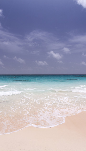 caraibi spiaggia bermuda