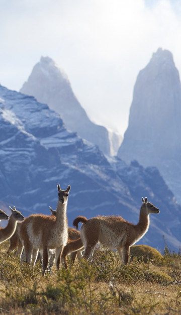 Torre del Paine