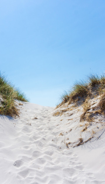 danimarca dune in spiaggia