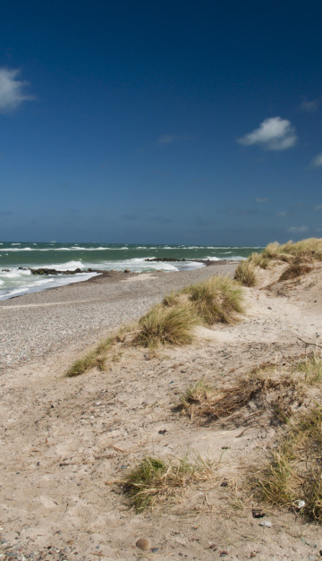 danimarca dune di sabbia