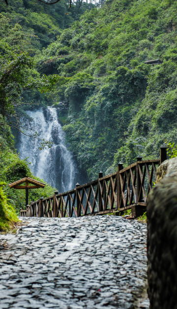 ecuador natura