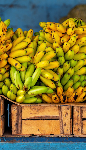 ecuador banane