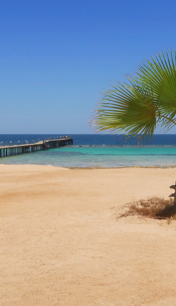 egitto spiaggia deserta