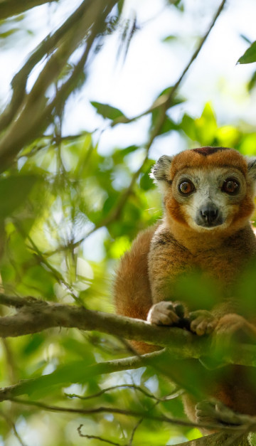 viaggio in madagascar