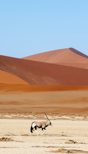 namibia deserto