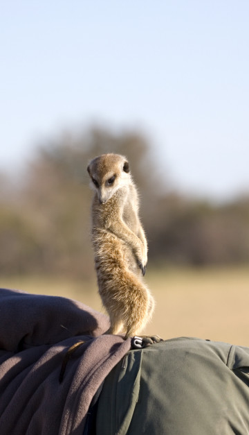 namibia natura