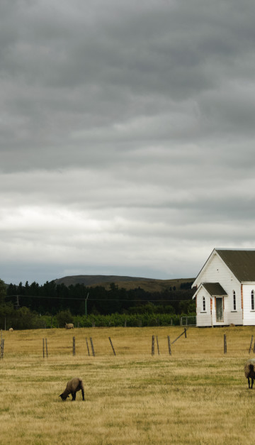 nuova zelanda chiesa