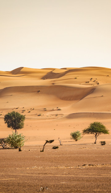 oman deserto