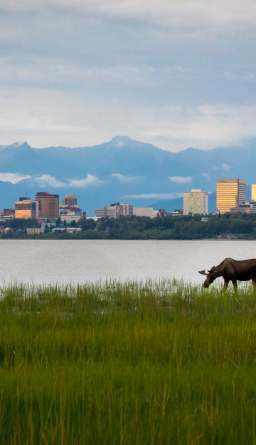 stati uniti skyline anchorage