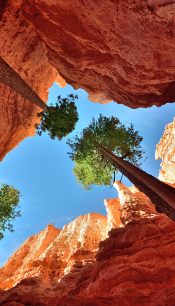 stati uniti canyon dal basso