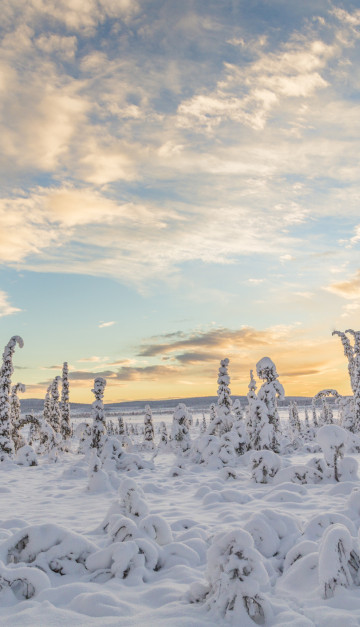 viaggio in svezia