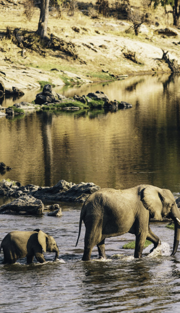 Safari in Tanzania