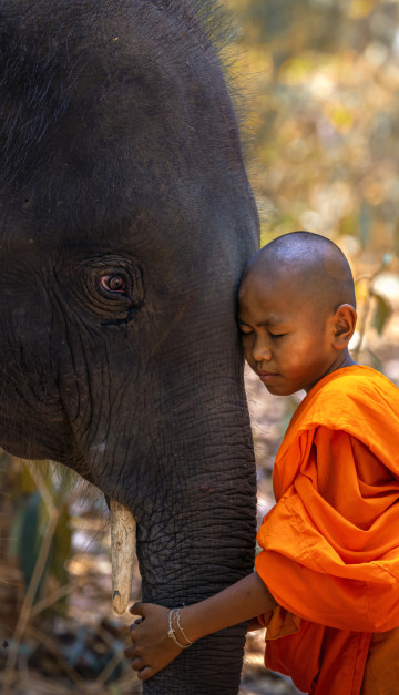 Chiang Rai