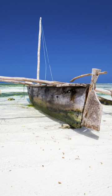 zanzibar barca