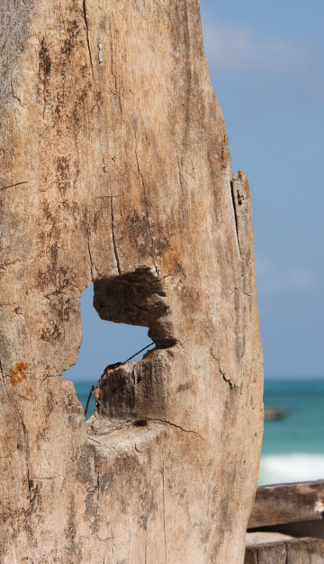 zanzibar - Kiwengwa