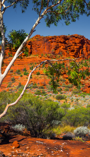 viaggio in australia