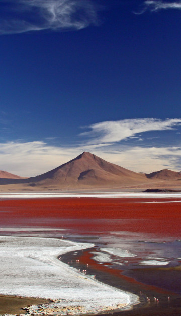 bolivia laguna rossa
