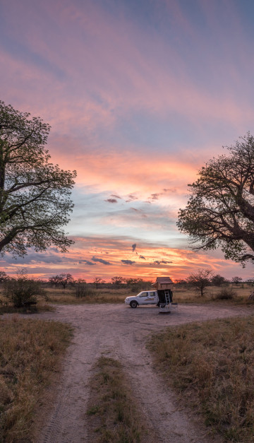 viaggio in botswana