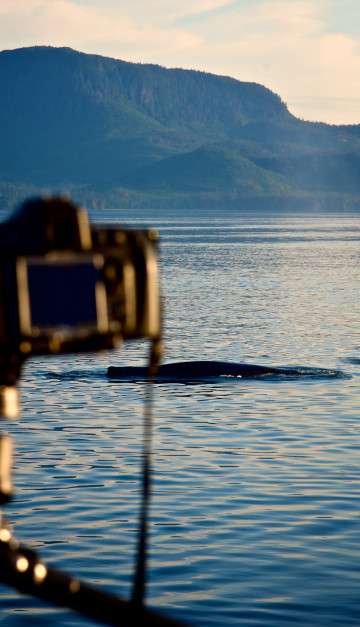 Inside passage