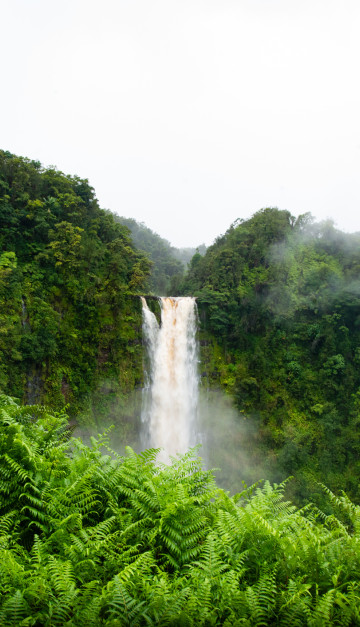 hawaii  cascata