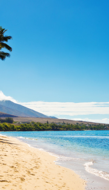 hawaii spiaggia