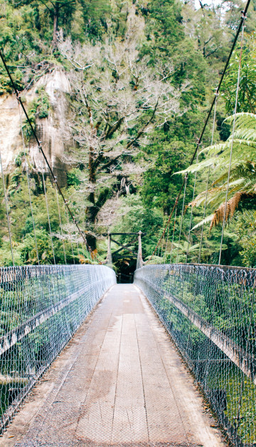 Paparoa National Park