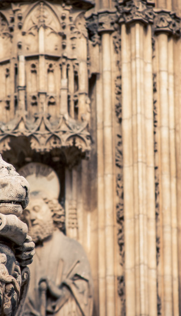 spagna cattedrale