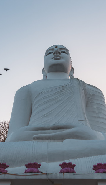 sri lanka statua