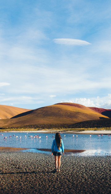 vista di Atacama 