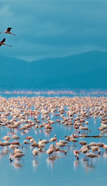 Lake Manyara