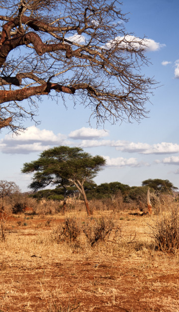 Tarangire National Park