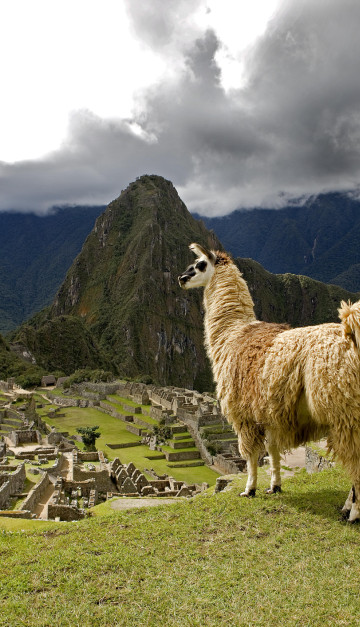 peru macchupicchu