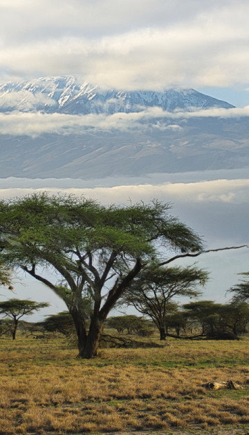 Amboseli National Park