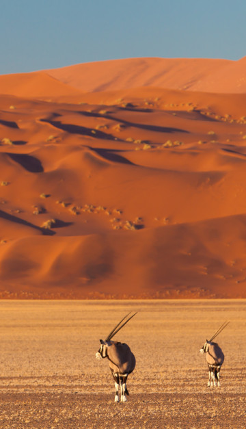 deserto namib