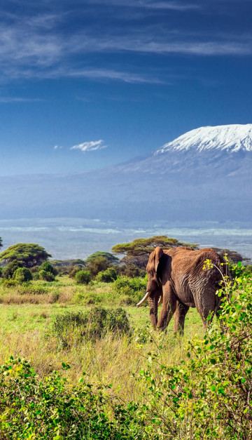 Tanzania