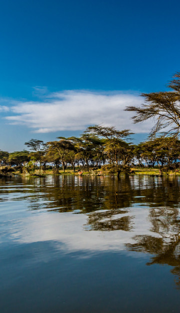 Lago Naivasha