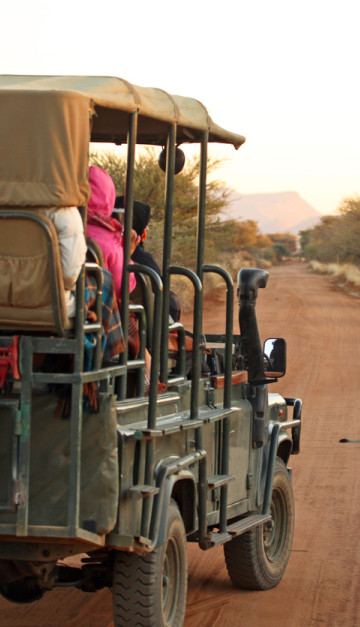 Parco Etosha