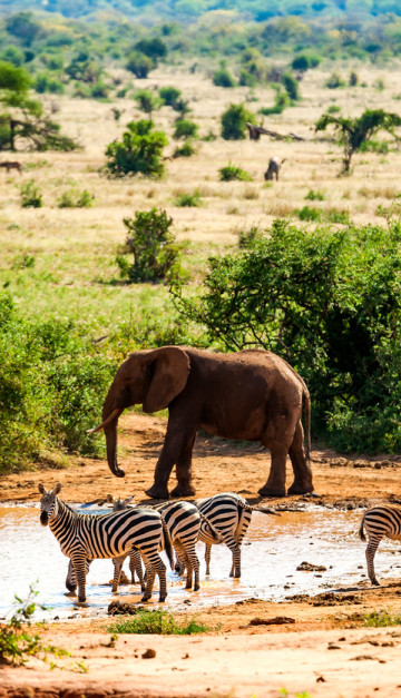 Tsavo National Park