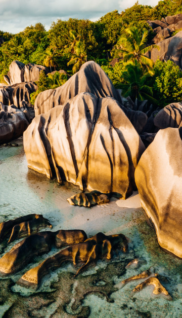 La digue