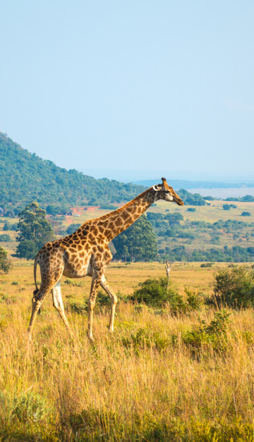 Sudafrica
