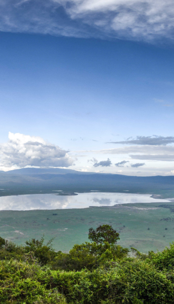 Ngorongoro