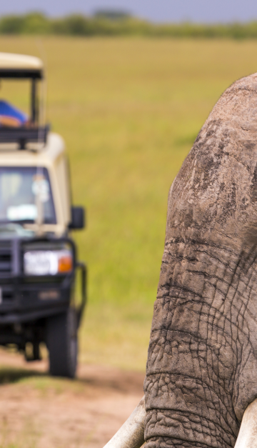 Masai Mara