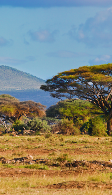 parco amboseli