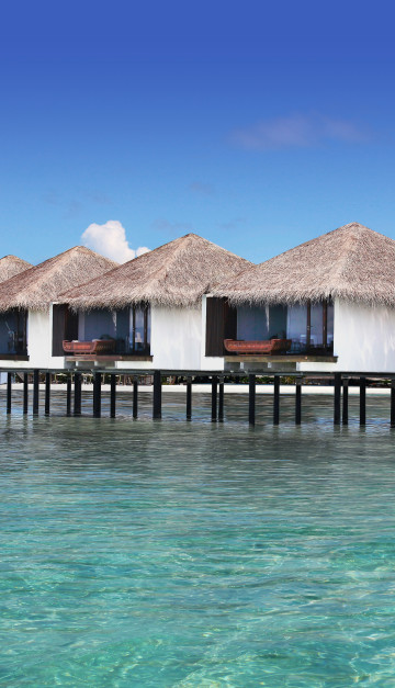 MALDIVE