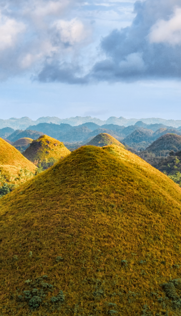 Bohol