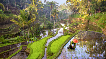 Ubud