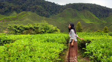 malesia ragazza tra le foglie di te