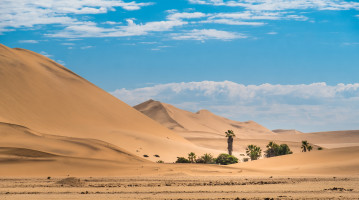 namibia deserto