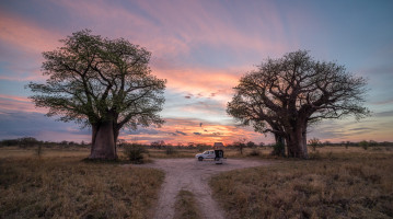 viaggio in botswana