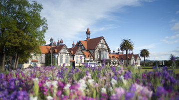 nuova zelanda museo e fiori